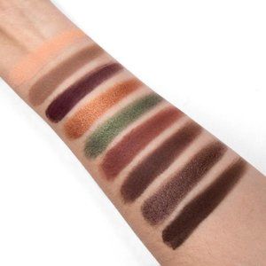 Discontinued Makeup Geek Fall Harvest palette